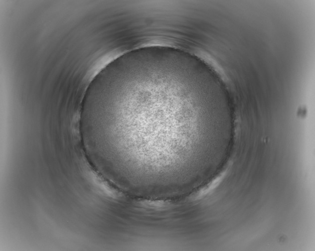 X0000091921121200709121533