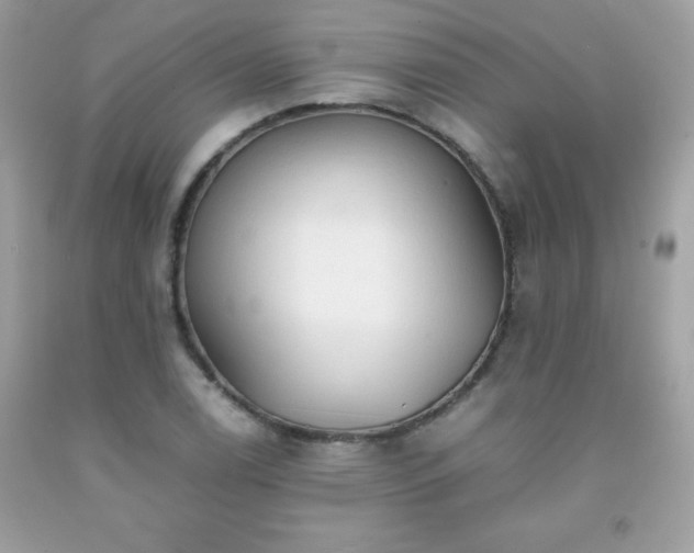X0000091921122200709121533