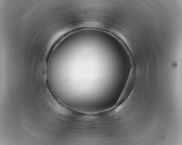 X0000091921123200709121533