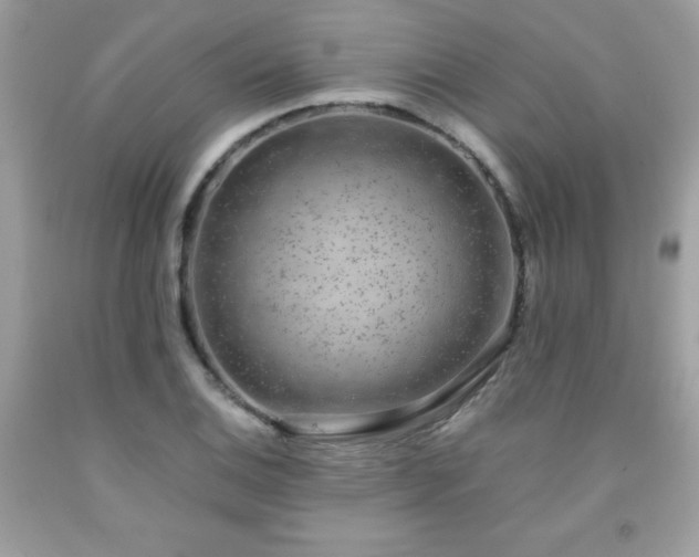 X0000091921124200709121533