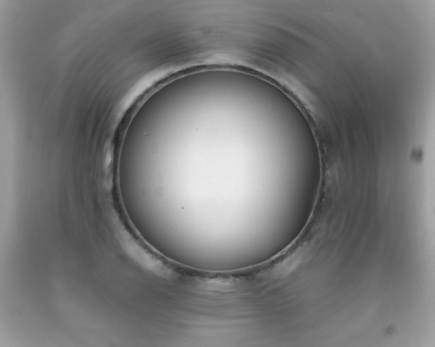 X0000091921126200709121533