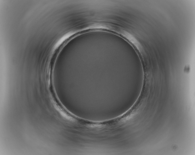 X0000091921127200709121533