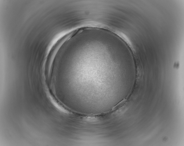 X0000091921128200709121533