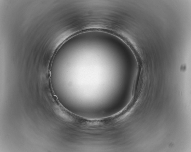 X0000091921129200709121533