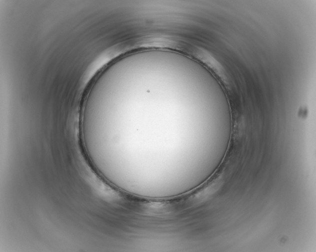 X0000091921130200709121533