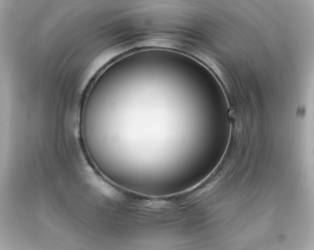 X0000091921131200709121533