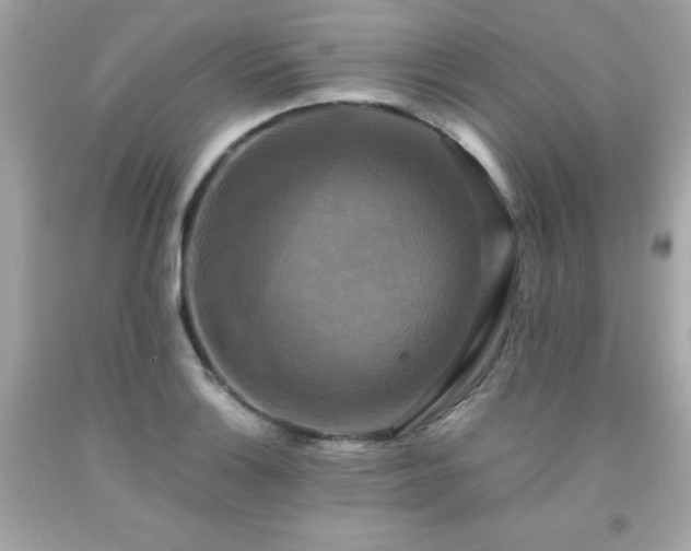 X0000091921132200709121533
