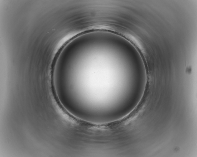 X0000091921133200709121533