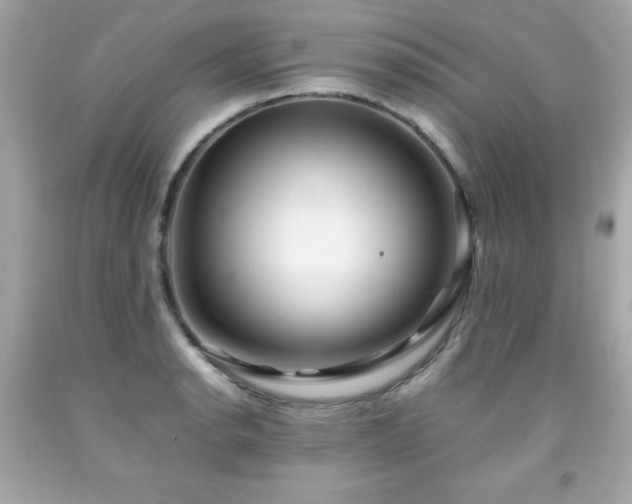 X0000091921134200709121533
