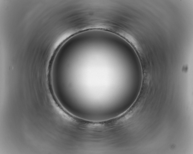 X0000091921135200709121533