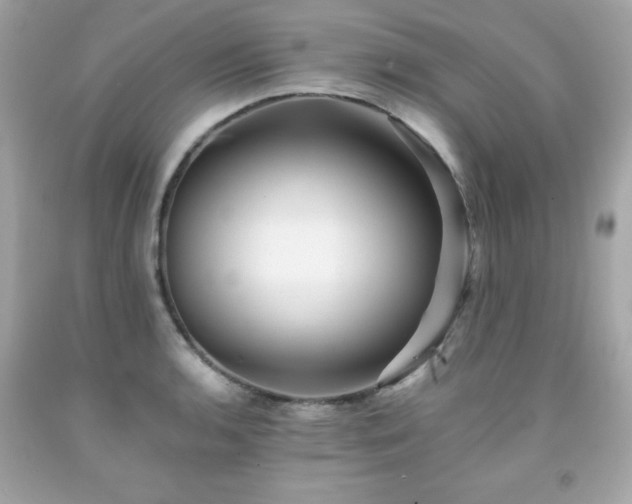 X0000091921136200709121533