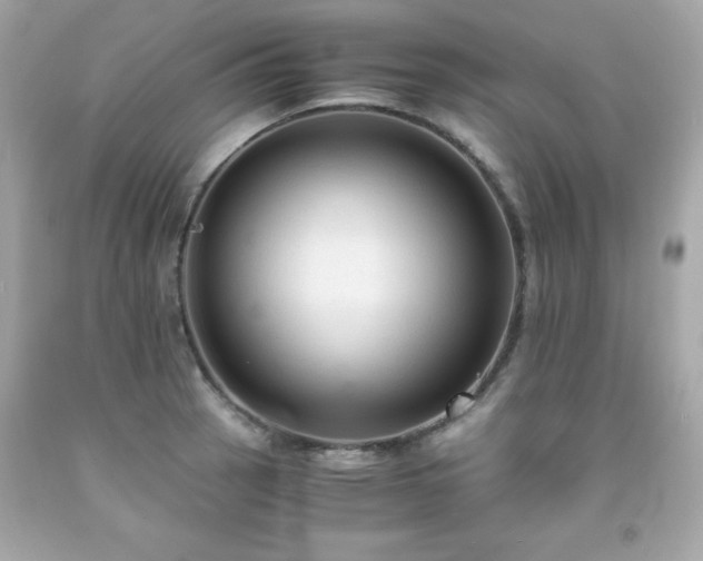 X0000091921137200709121533