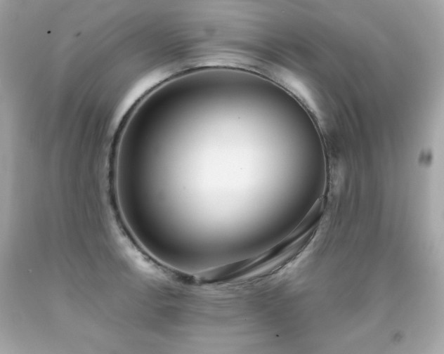 X0000091921138200709121533
