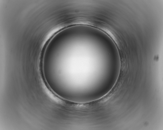 X0000091921139200709121533