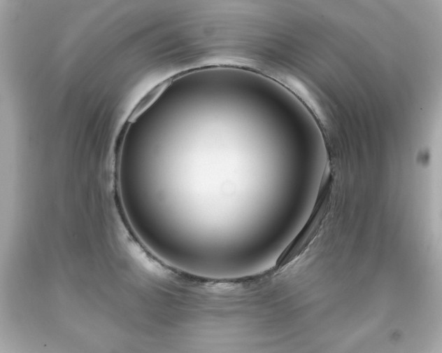 X0000091921140200709121533