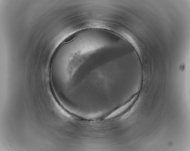 X0000091921141200709121533