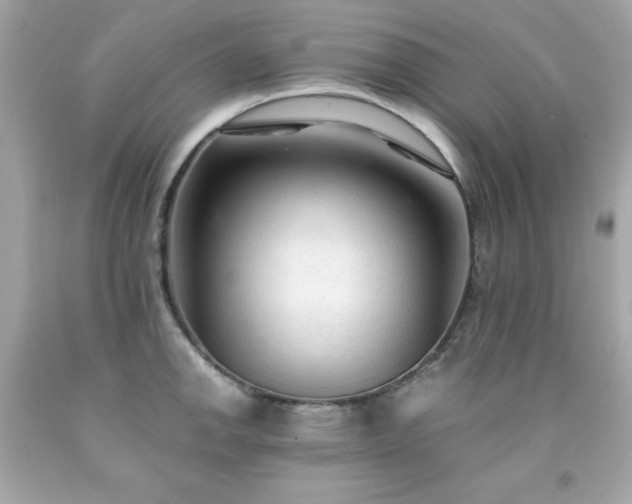 X0000091921142200709121533