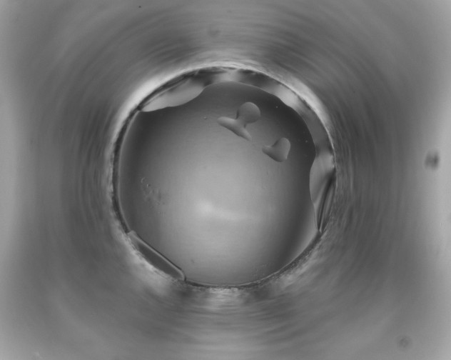 X0000091921144200709121533