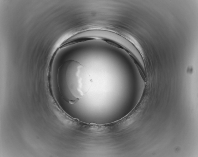 X0000091921146200709121533