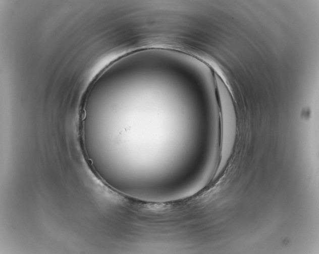 X0000091921147200709121533