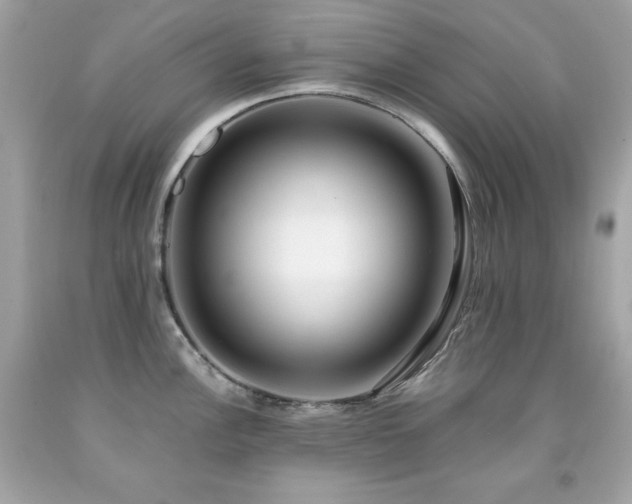 X0000091921148200709121533