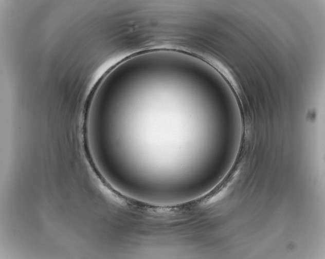 X0000091921149200709121533