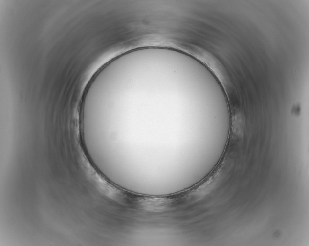 X0000091921150200709121533