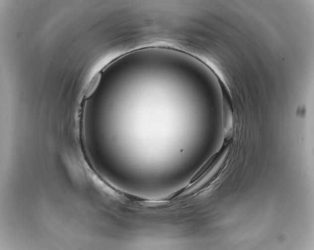 X0000091921151200709121533