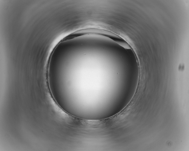X0000091921152200709121533