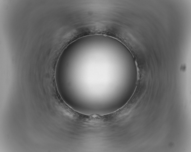 X0000091921153200709121533