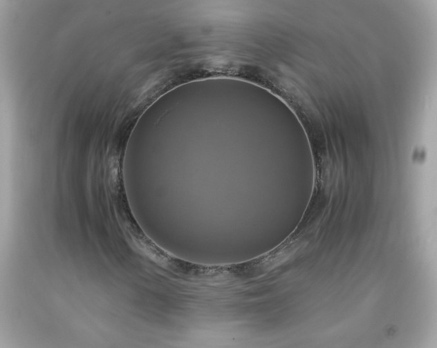 X0000091921154200709121533