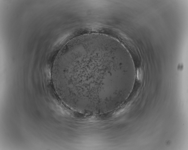 X0000091921155200709121533