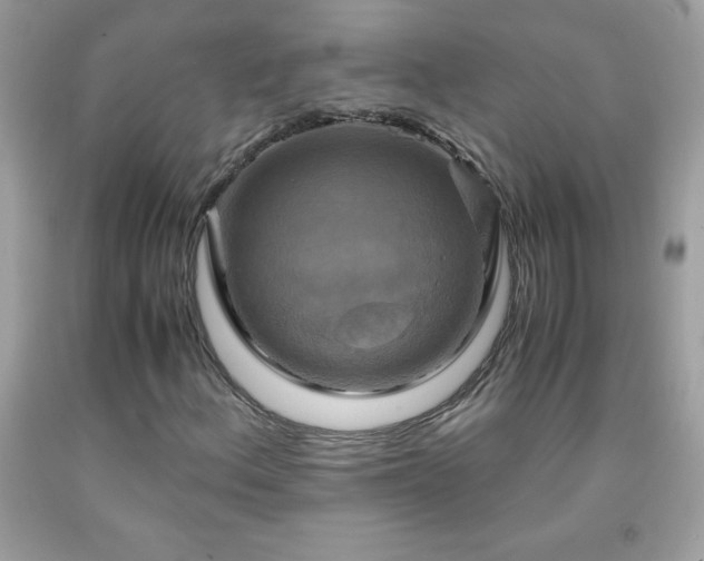 X0000091921156200709121533