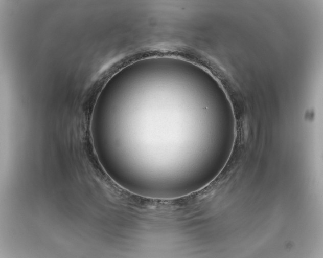 X0000091921158200709121533