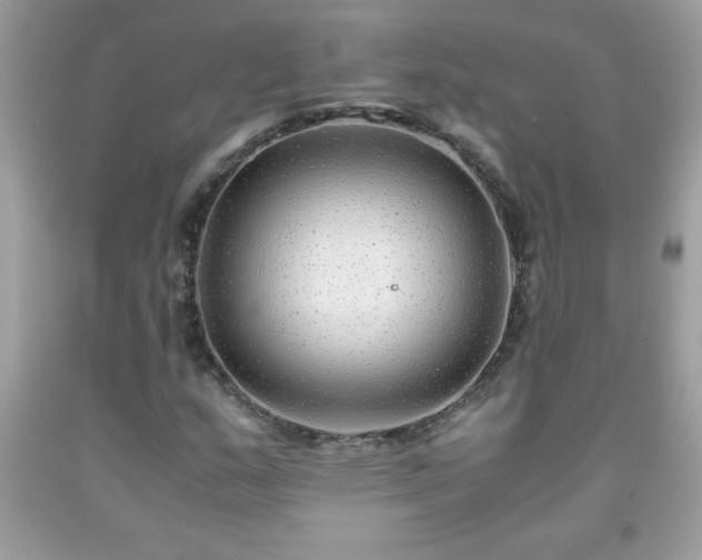X0000091921159200709121533