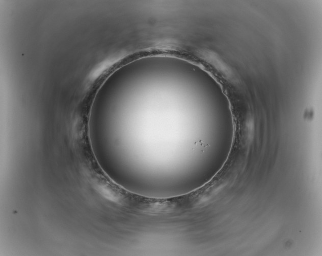 X0000091921160200709121533