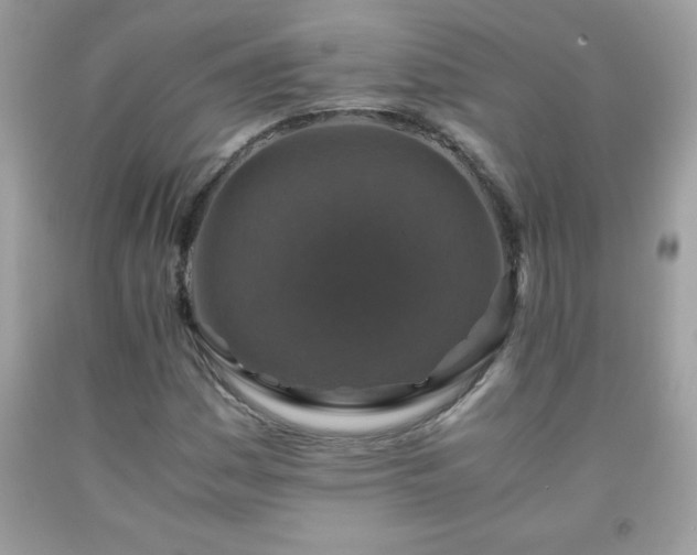 X0000091921161200709121533