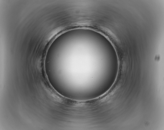 X0000091921162200709121532