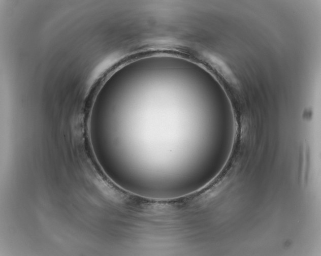 X0000091921164200709121532