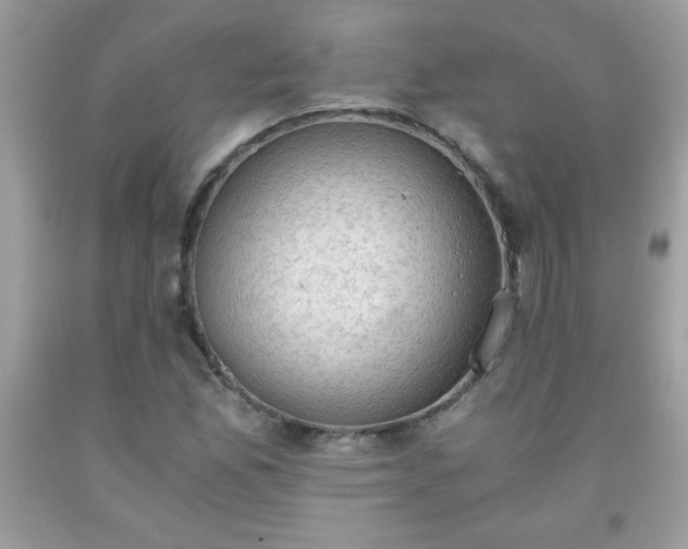 X0000091921165200709121532