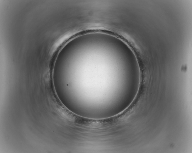 X0000091921167200709121532