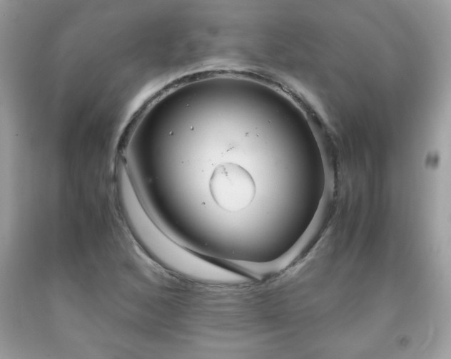 X0000091921168200709121532