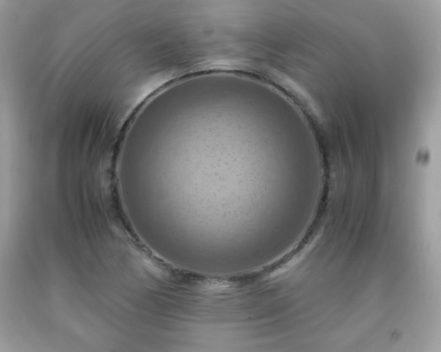 X0000091921170200709121532