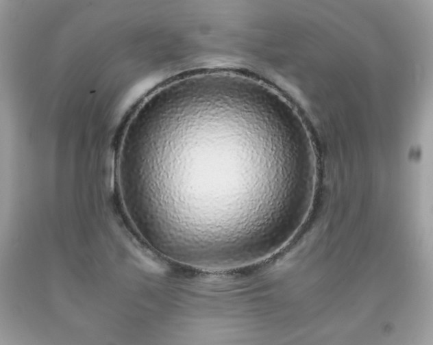 X0000091921171200709121532