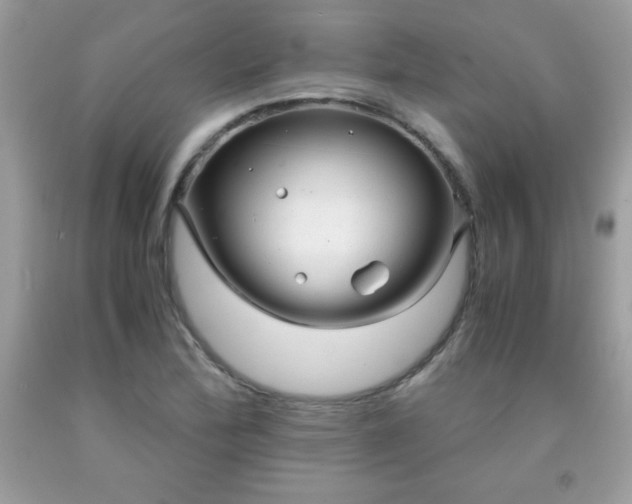 X0000091921172200709121532