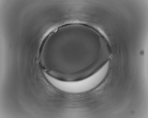 X0000091921173200709121532