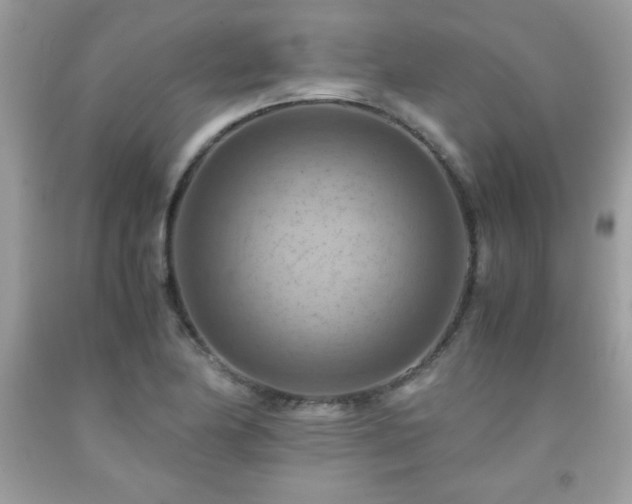 X0000091921174200709121532