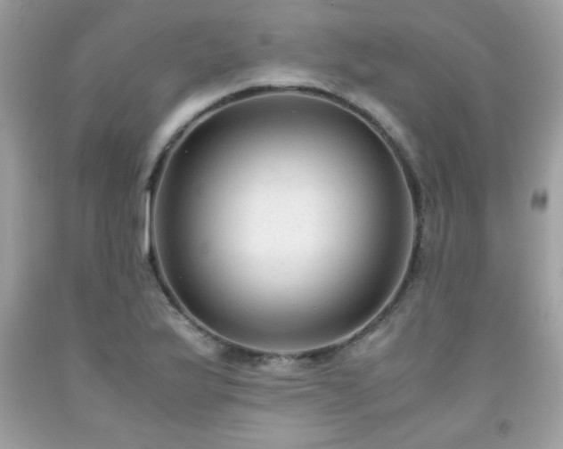 X0000091921175200709121532