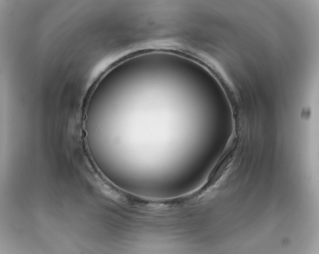 X0000091921176200709121532