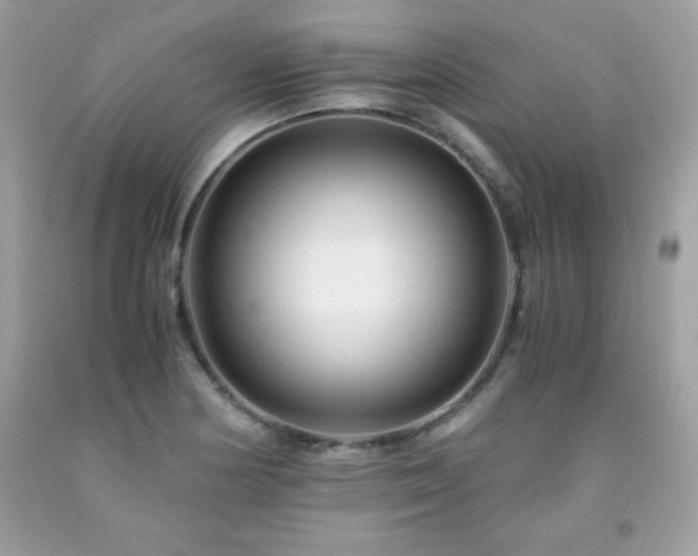 X0000091921178200709121532